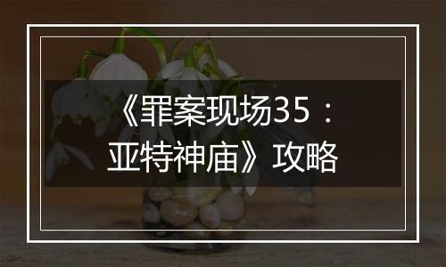 《罪案现场35：亚特神庙》攻略