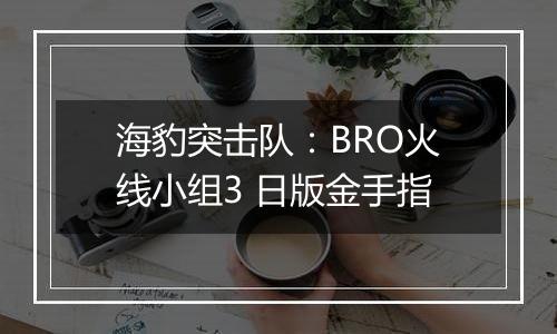 海豹突击队：BRO火线小组3 日版金手指