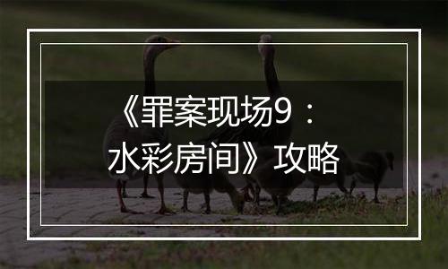 《罪案现场9：水彩房间》攻略