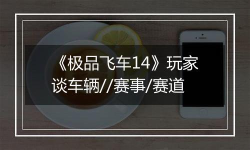 《极品飞车14》玩家谈车辆//赛事/赛道