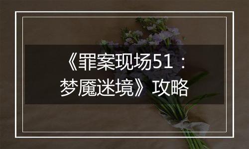 《罪案现场51：梦魇迷境》攻略