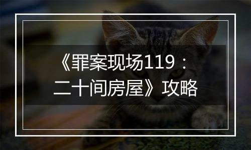 《罪案现场119：二十间房屋》攻略