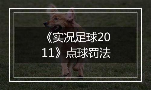 《实况足球2011》点球罚法