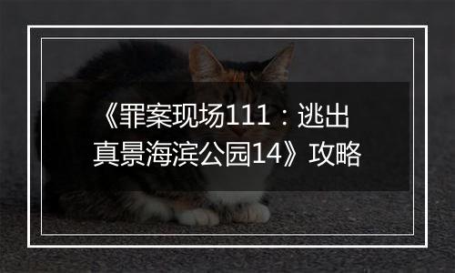 《罪案现场111：逃出真景海滨公园14》攻略