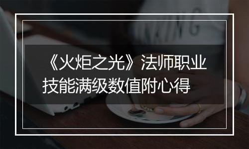 《火炬之光》法师职业技能满级数值附心得