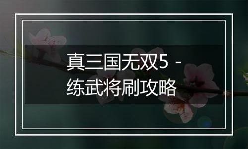 真三国无双5－练武将刷攻略