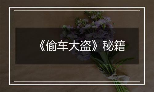 《偷车大盗》秘籍