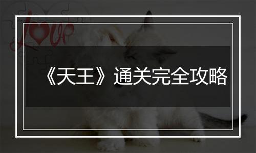 《天王》通关完全攻略