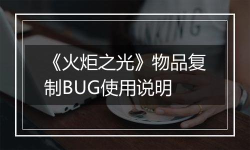《火炬之光》物品复制BUG使用说明