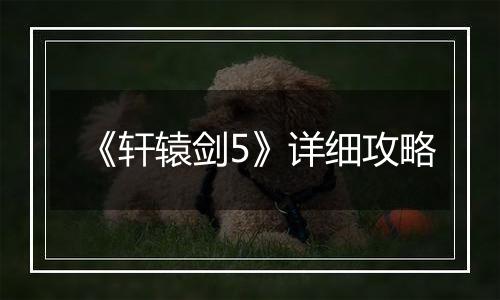 《轩辕剑5》详细攻略