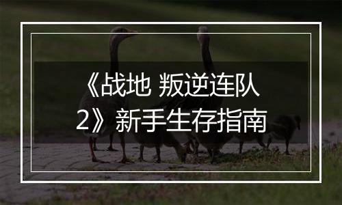 《战地 叛逆连队2》新手生存指南