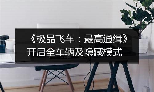 《极品飞车：最高通缉》开启全车辆及隐藏模式