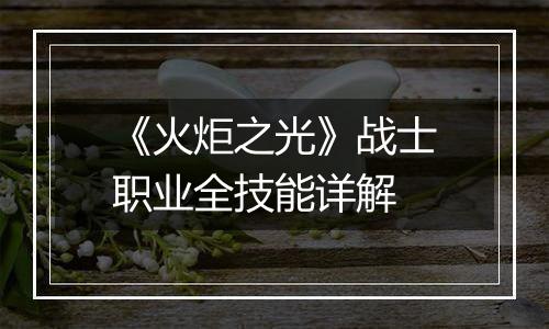 《火炬之光》战士职业全技能详解