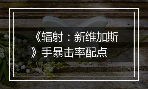 《辐射：新维加斯》手暴击率配点