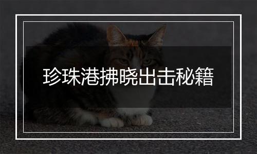 珍珠港拂晓出击秘籍