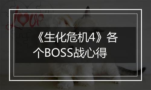 《生化危机4》各个BOSS战心得