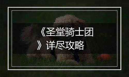 《圣堂骑士团》详尽攻略