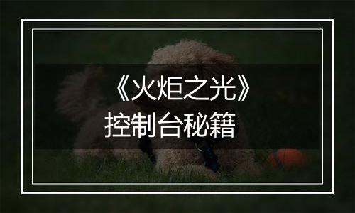 《火炬之光》控制台秘籍