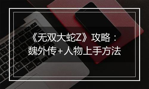 《无双大蛇Z》攻略：魏外传+人物上手方法
