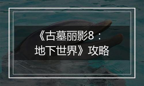 《古墓丽影8：地下世界》攻略