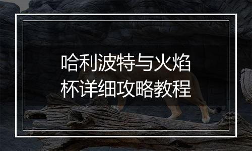 哈利波特与火焰杯详细攻略教程