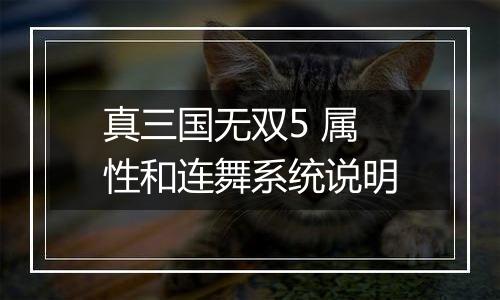 真三国无双5 属性和连舞系统说明