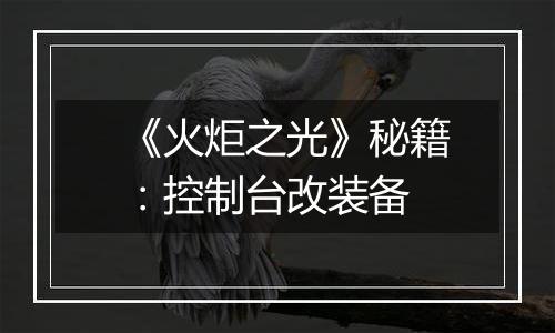 《火炬之光》秘籍：控制台改装备