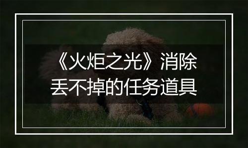 《火炬之光》消除丢不掉的任务道具