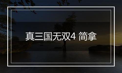 真三国无双4 简拿