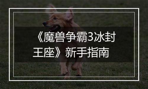 《魔兽争霸3冰封王座》新手指南