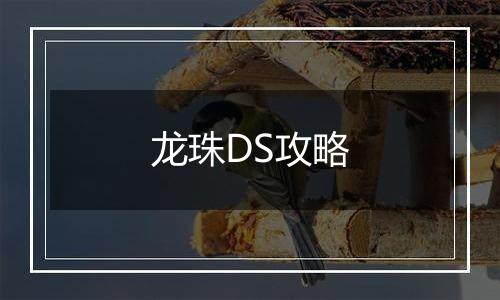 龙珠DS攻略
