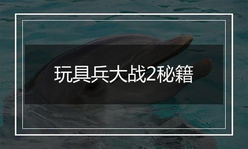 玩具兵大战2秘籍