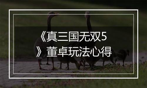 《真三国无双5》董卓玩法心得