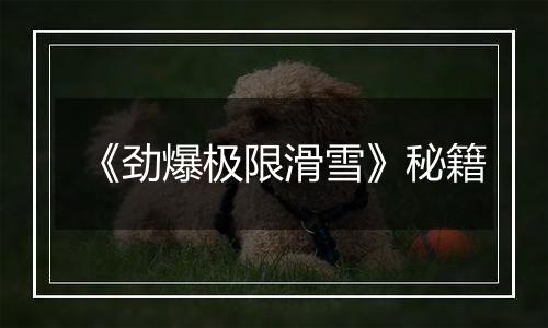 《劲爆极限滑雪》秘籍