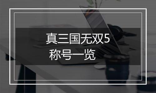 真三国无双5 称号一览