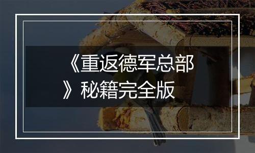 《重返德军总部》秘籍完全版