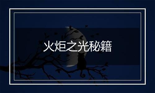 火炬之光秘籍