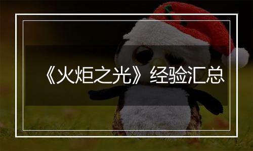 《火炬之光》经验汇总