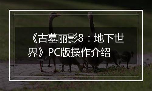《古墓丽影8：地下世界》PC版操作介绍