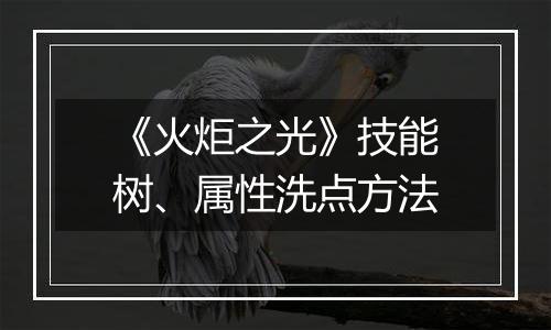 《火炬之光》技能树、属性洗点方法