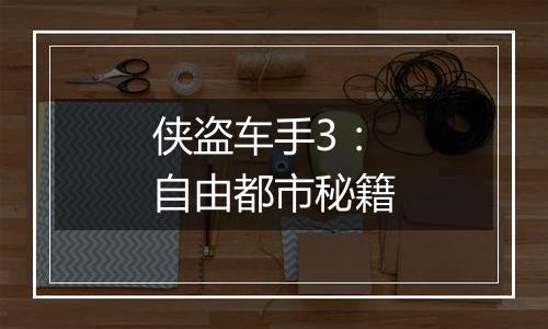 侠盗车手3：自由都市秘籍