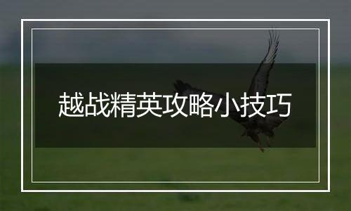 越战精英攻略小技巧