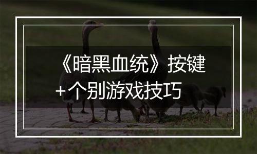 《暗黑血统》按键+个别游戏技巧