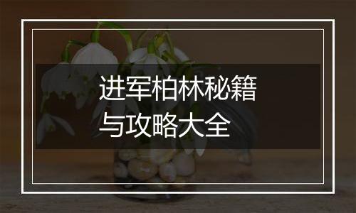 进军柏林秘籍与攻略大全