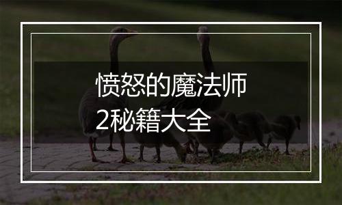 愤怒的魔法师2秘籍大全