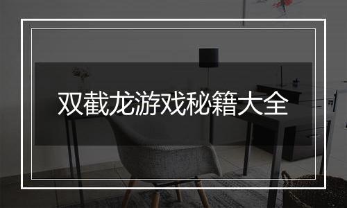 双截龙游戏秘籍大全
