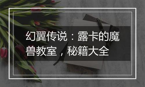 幻翼传说：露卡的魔兽教室，秘籍大全