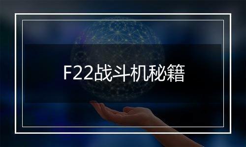 F22战斗机秘籍