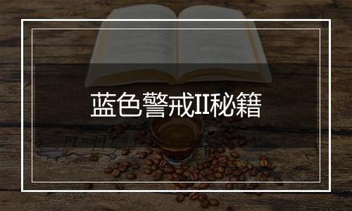 蓝色警戒II秘籍