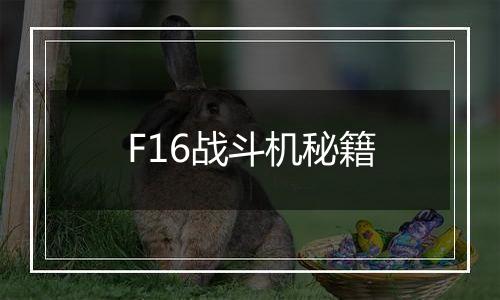 F16战斗机秘籍